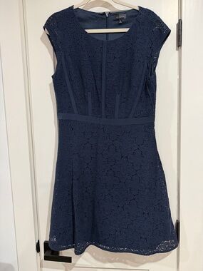 The Limited Navy Lace Fit-and-Flare Mini Dress
